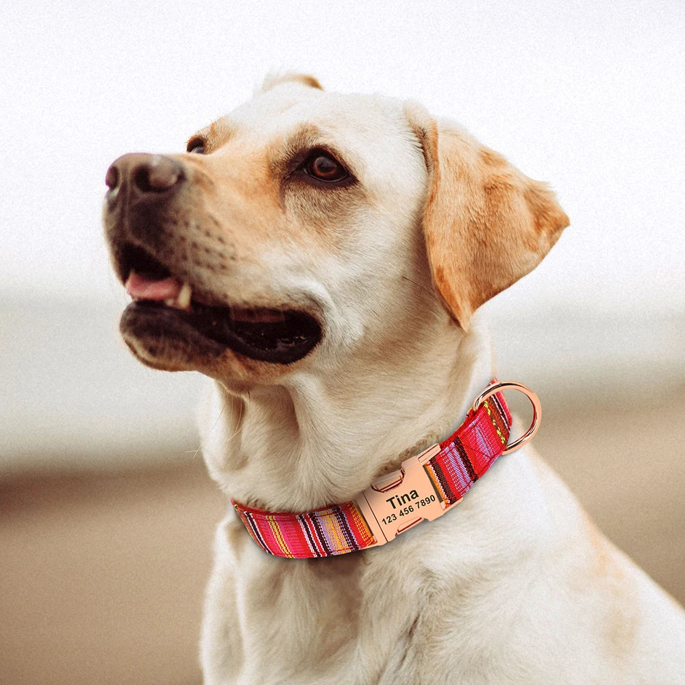 Personalized Nylon Dog Collar with Engraved Nameplate – Custom ID Tag for Small, Medium & Large Dogs