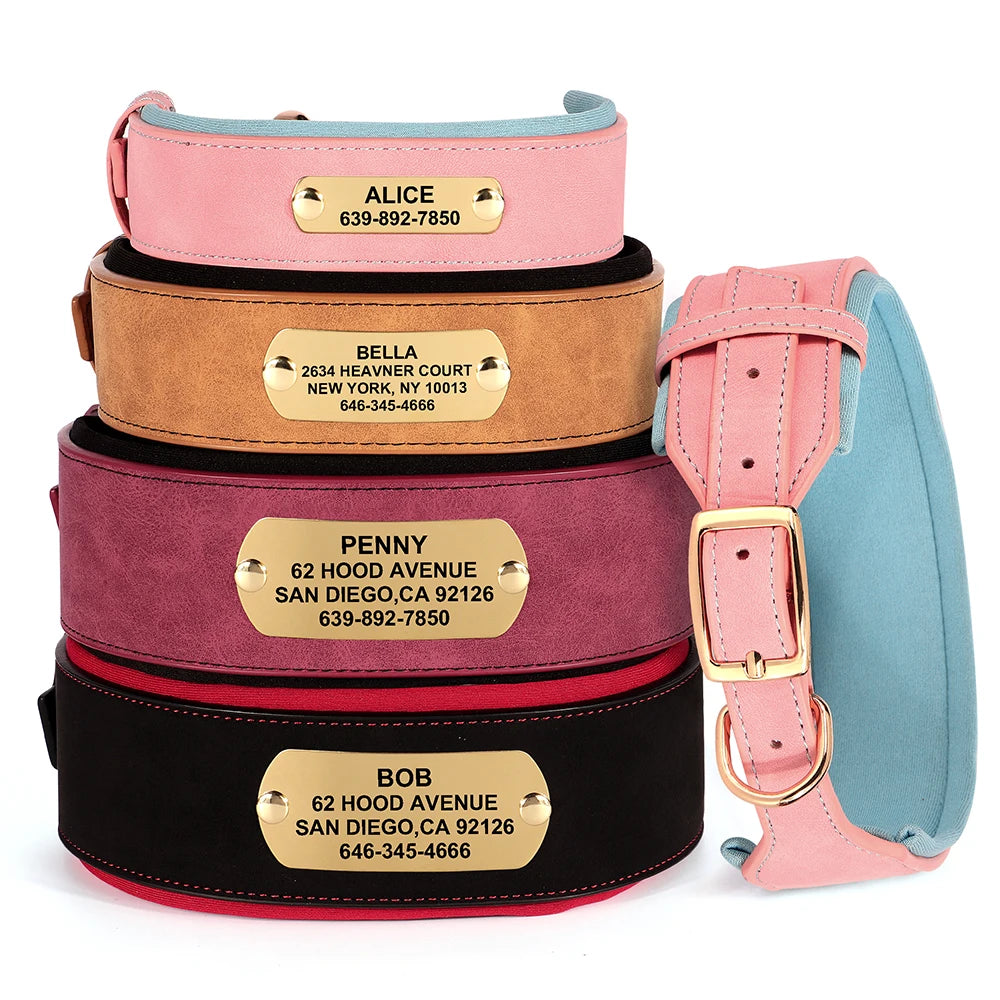Customized Engraved Wide Leather Dog Collar – Soft Padded for Medium & Large Dogs