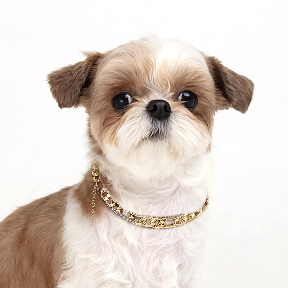 Pet Dog Chain Choke Collar Necklace – Gold Metal Training Collar for Dogs & Cats