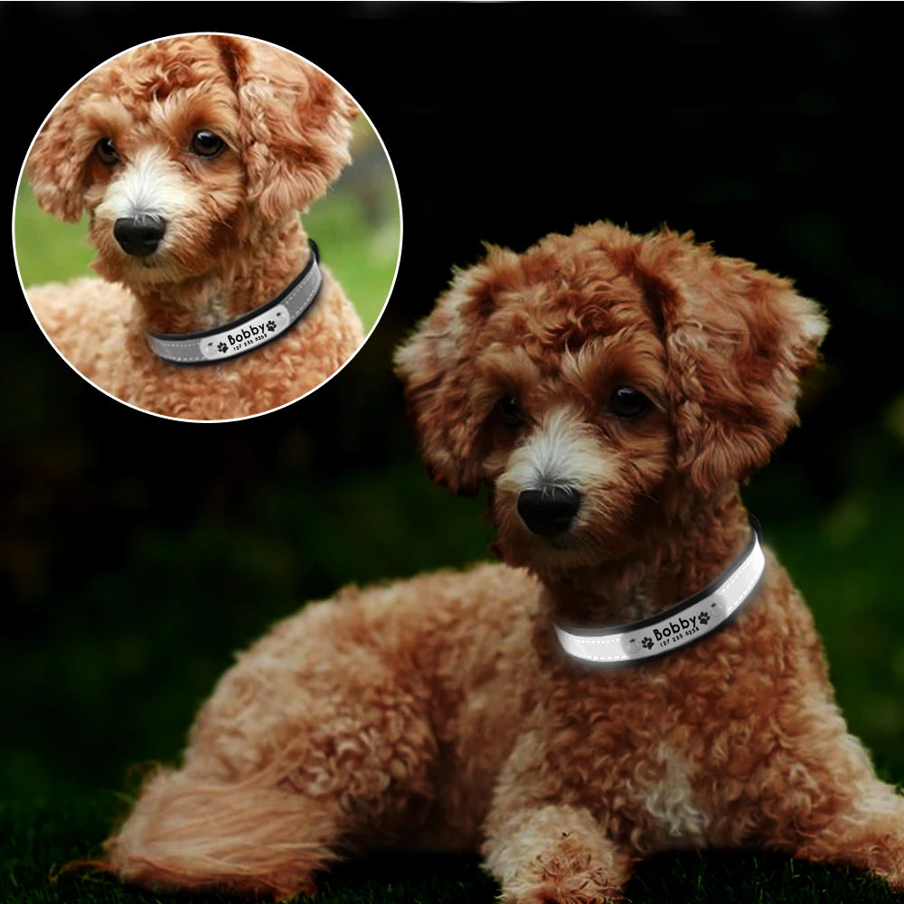 Reflective Personalized Dog Collar with Free Engraving – Adjustable for Small & Medium Pets