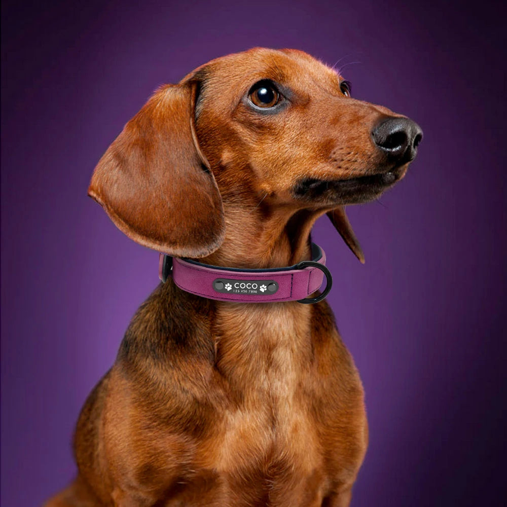 Custom Leather Dog Collar – Personalized with Free Engraving | XS–XXL Sizes