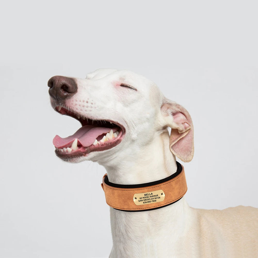 Customized Engraved Wide Leather Dog Collar – Soft Padded for Medium & Large Dogs