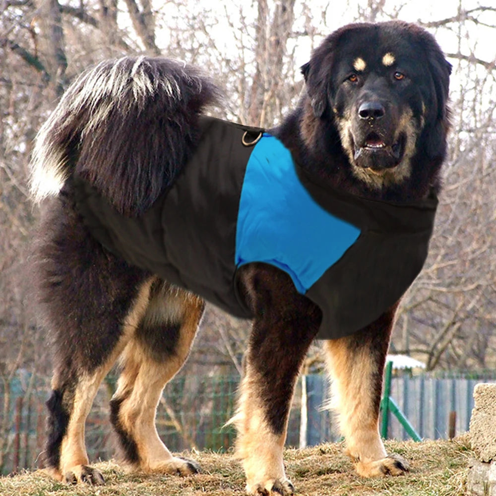 XL–7XL Warm Dog Winter Vest – Waterproof Puffer Coat for Large Breeds