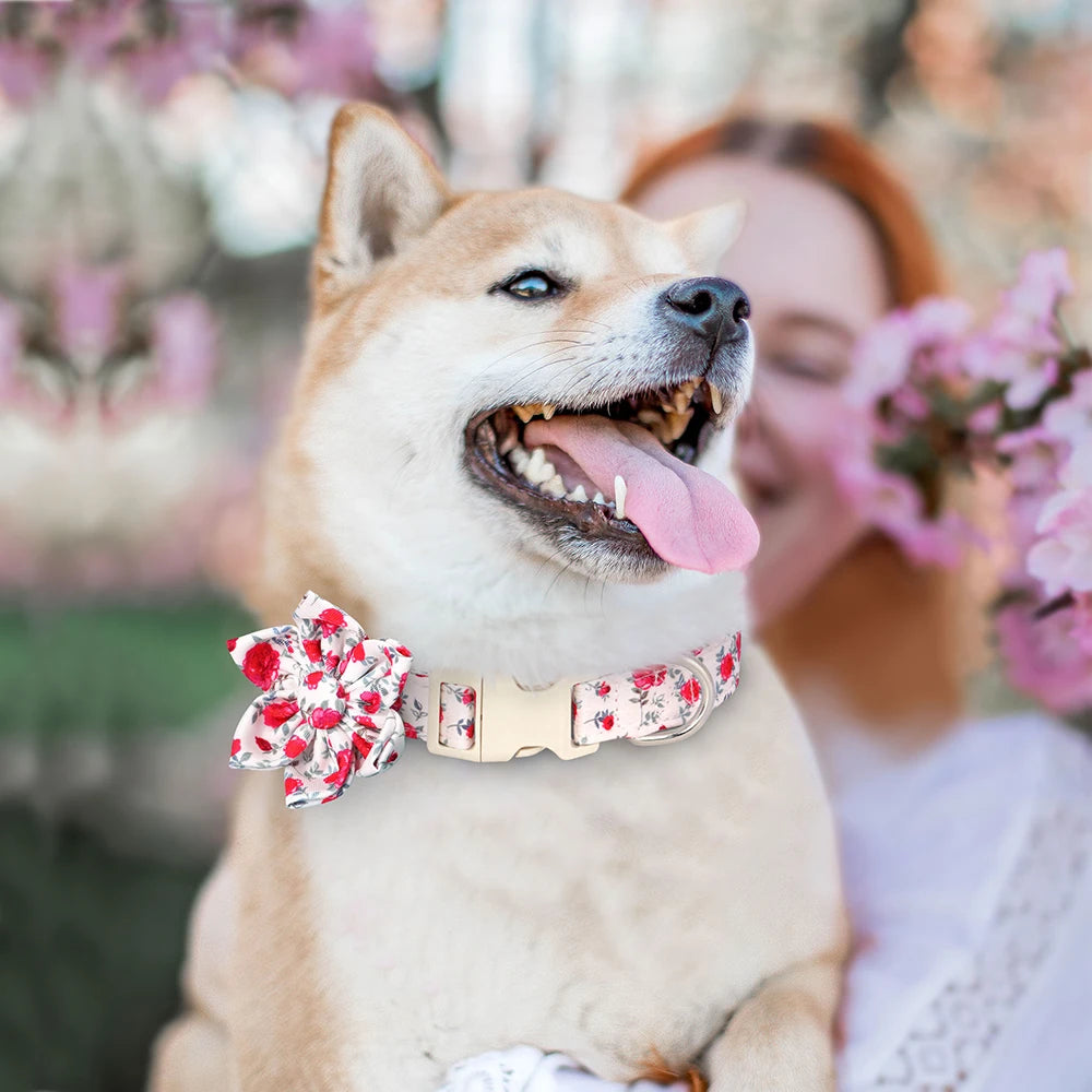 Fashion Floral Printed Nylon Dog Collar – Adjustable Spring Collar with Flower for Small & Medium Dogs (Pug, Chihuahua, Frenchie)