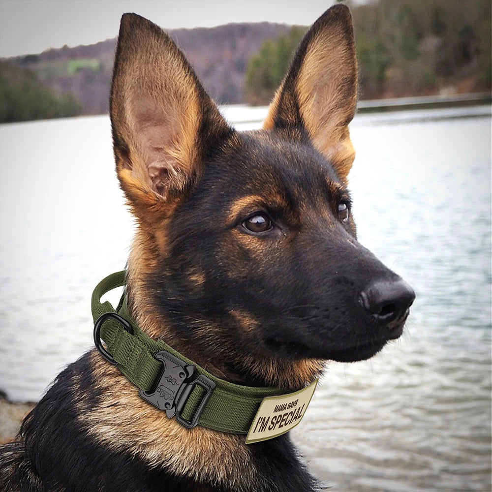 Tactical Dog Collar With Handle Nylon Military Dog Collar Adjustable Pet Training Collars For Medium Large Dogs German Shepherd