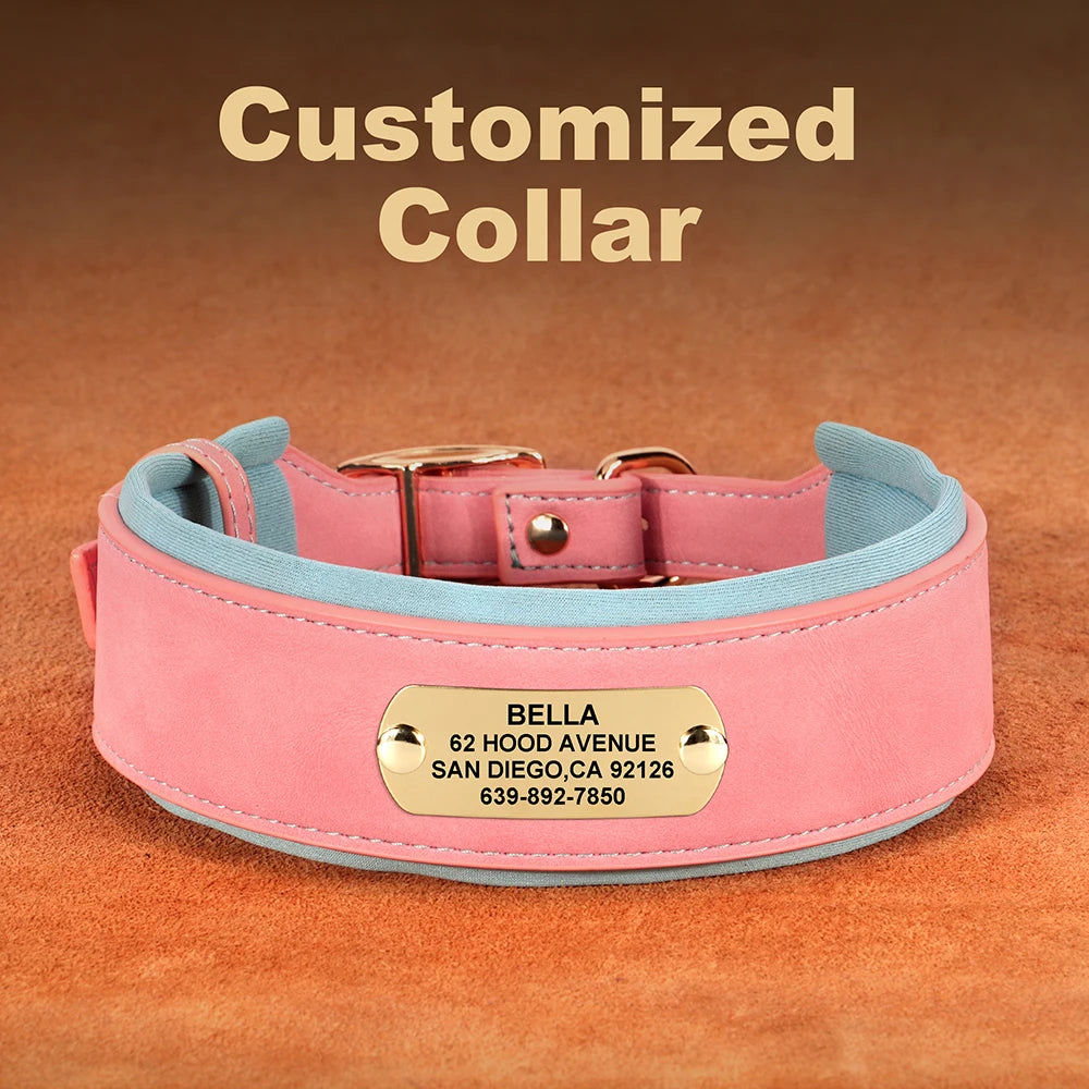 Customized Engraved Wide Leather Dog Collar – Soft Padded for Medium & Large Dogs