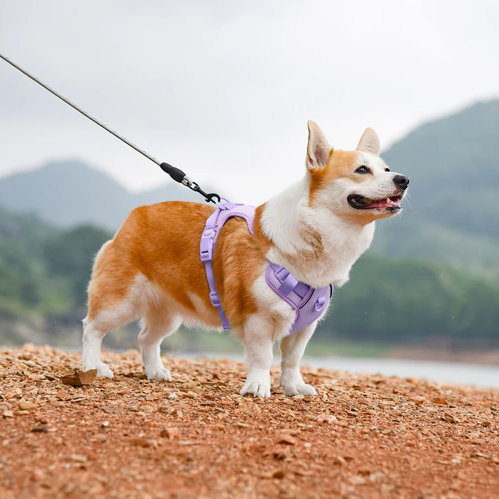 No Pull Nylon Mesh Dog Harness Breathable Pet Harnesses Vest For Medium Large Dogs Reflective Dog Chest Strap French Bulldog