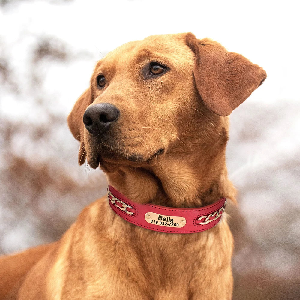 Personalized Leather Dog Collar – Custom Engraved Nameplate ID Tag for Small, Medium & Large Dogs
