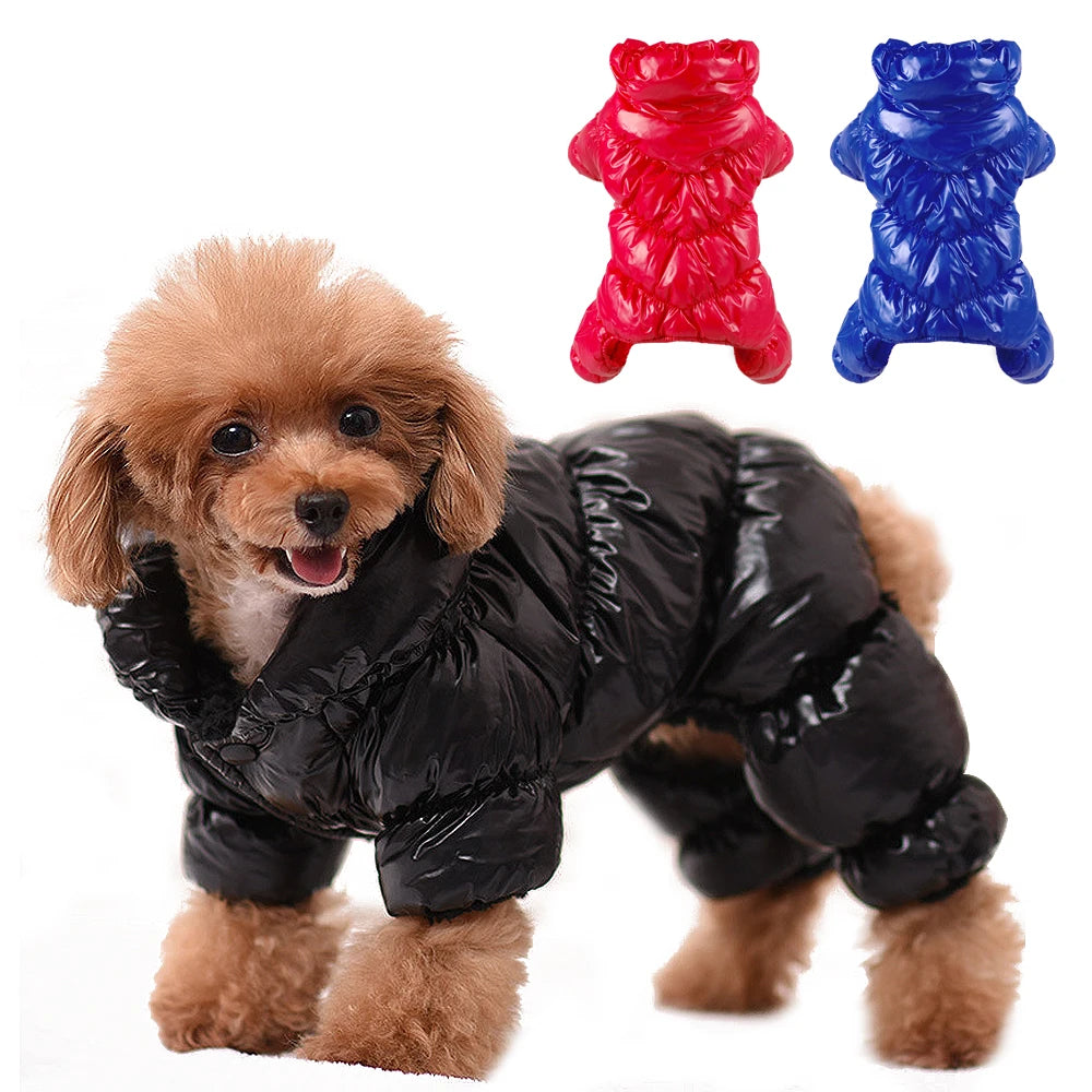 Warm Winter Dog Coat – Waterproof Jacket for Small & Medium Breeds