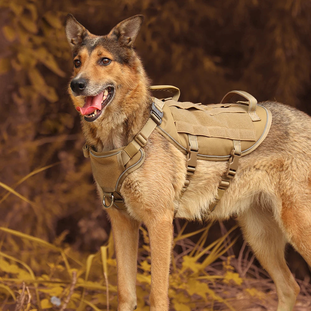 Quick Control Tactical Dog Harness – No Pull Military Training Vest with Handle & Molle System for Medium & Large Dogs