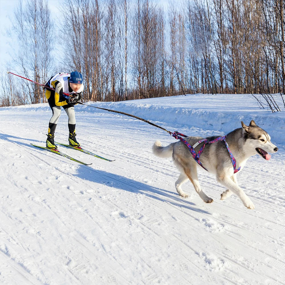 Big Dog Sledding Harness – Reflective X-Back Weight Pulling Harness for Medium & Large Dogs (Husky, Canicross, Skijoring, Bikejoring, Scootering)