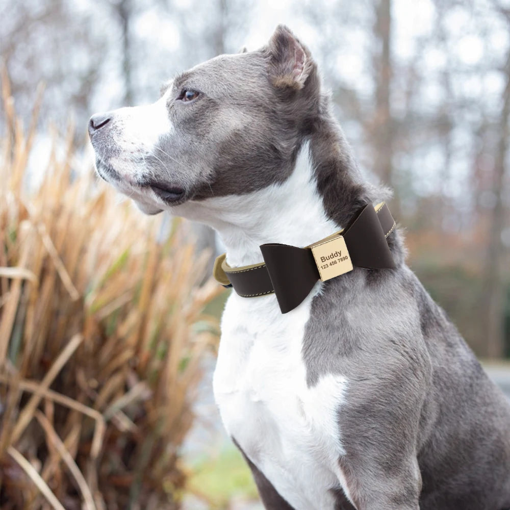 Personalized Dog Collar Customized Leather Pet ID Name Collar With Bowknot Free Engraved For Small Medium Dogs Cats Pet Supplies