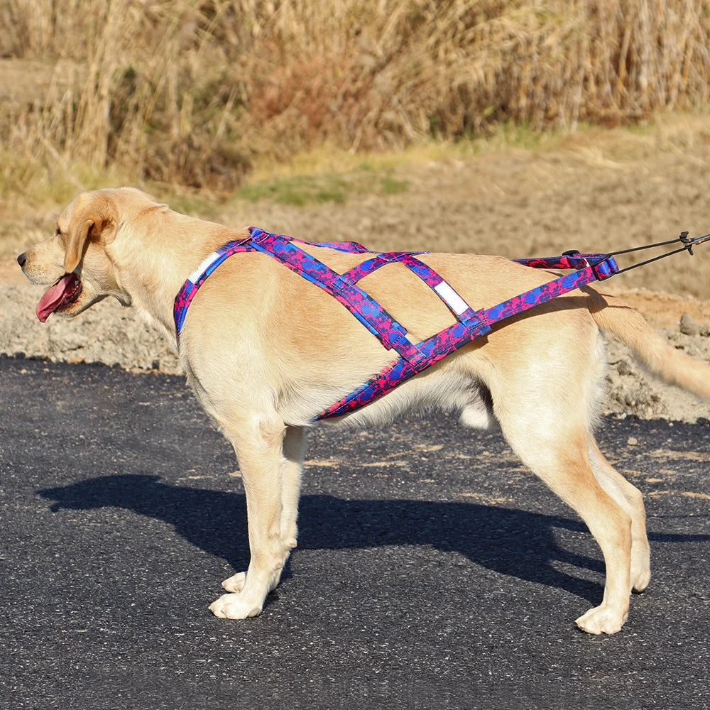 Big Dog Sledding Harness – Reflective X-Back Weight Pulling Harness for Medium & Large Dogs (Husky, Canicross, Skijoring, Bikejoring, Scootering)