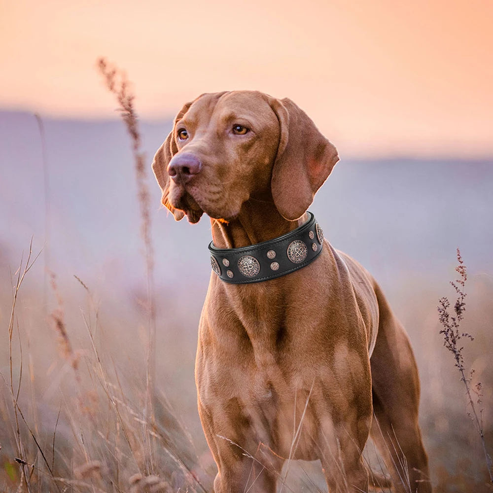 Genuine Leather Dog Collar – Vintage Studded Design, Adjustable for Medium & Large Dogs (Bulldog, Husky, Labrador)