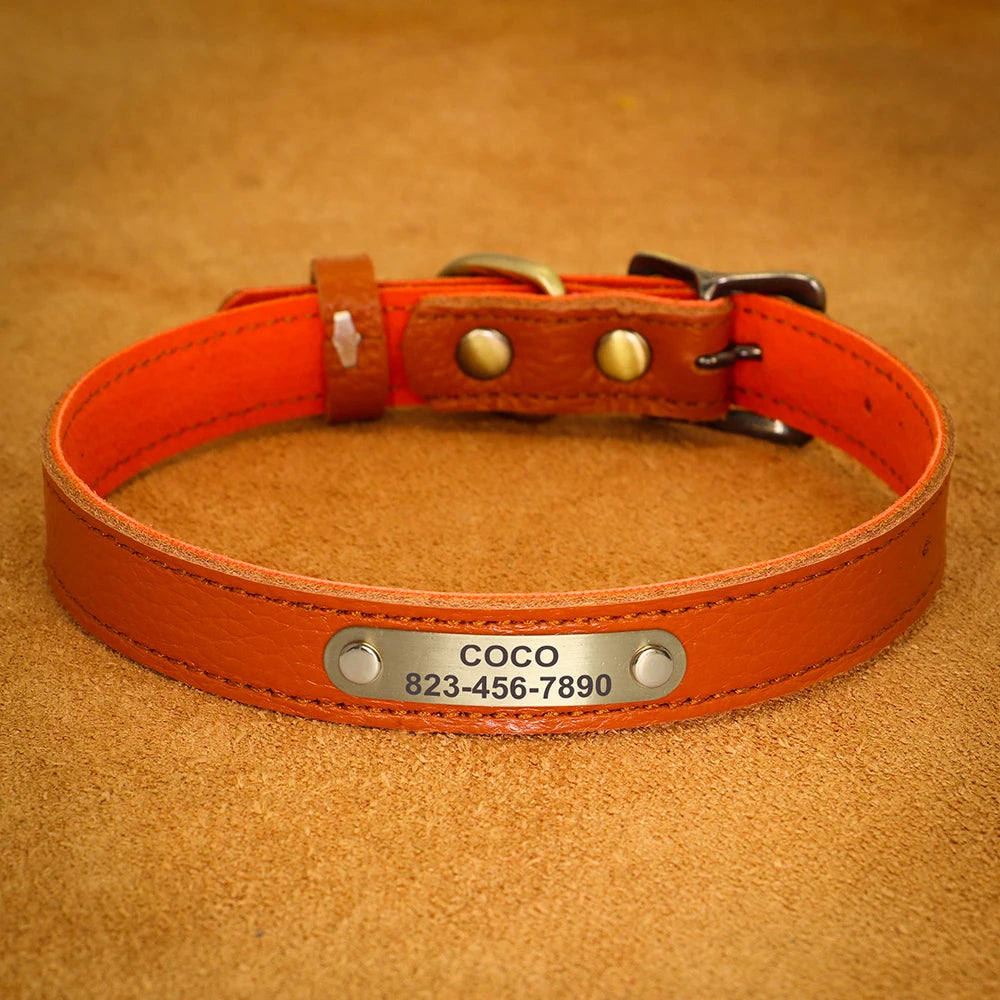 Personalized Genuine Leather Pet Puppy Collar For Small Dogs Cats