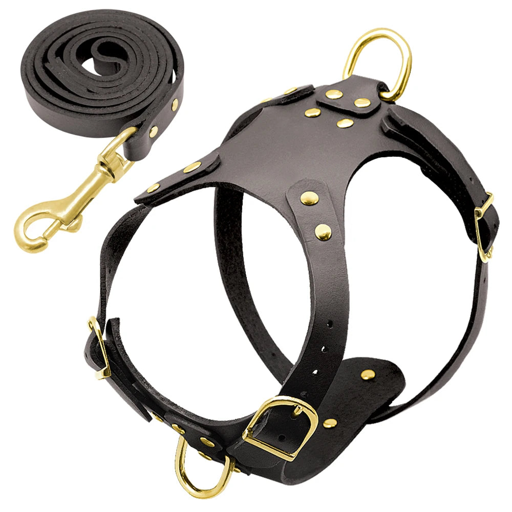 Genuine Leather Dog Harness Vest & Leash Set – Adjustable Pet Harness for Small & Medium Dogs (Pug, Beagle, Bulldog, Brown)