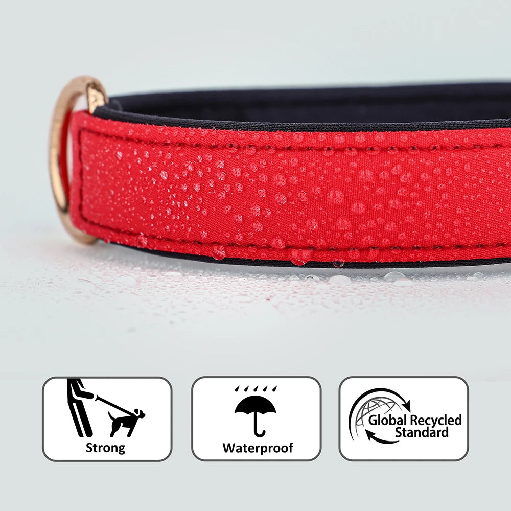 Custom Nylon Dog Collar – Waterproof Personalized Pet Collar with Engraved ID Nameplate for Small & Medium Dogs