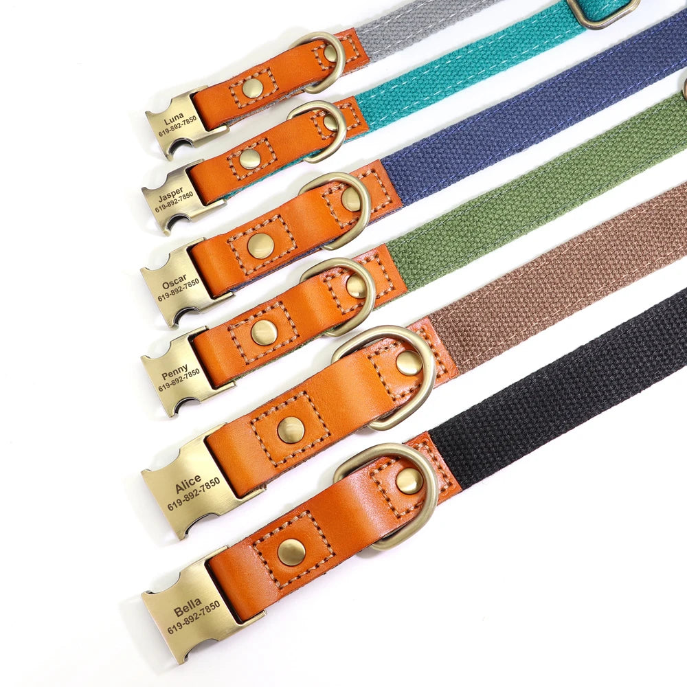 Nylon Custom Dog Collar & Leash Set – Personalized with Leather Nameplate