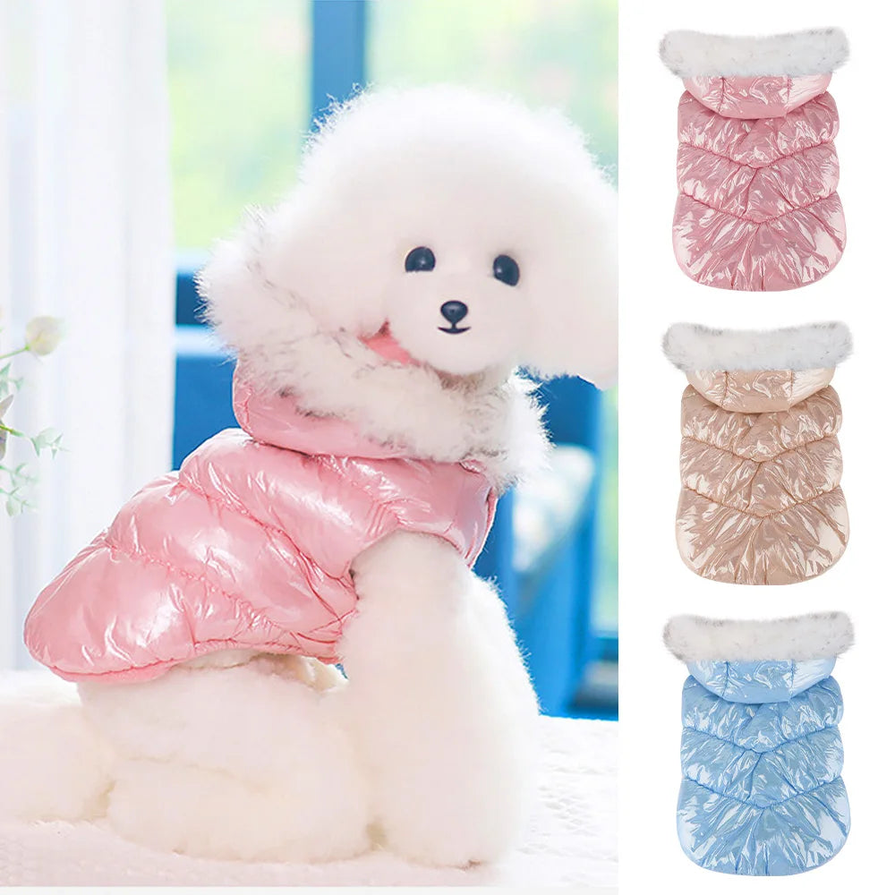 Warm Dog Clothes – Thick Cotton Winter Jacket with Fur Hood for Small & Medium Dogs