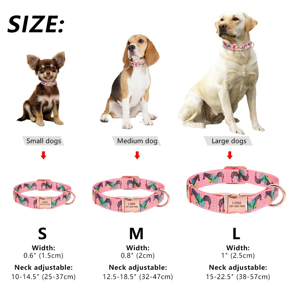 Personalized Dog Collar with Engraved Nameplate – Custom Nylon Collar for Dogs & Cats (S/M/L Sizes)