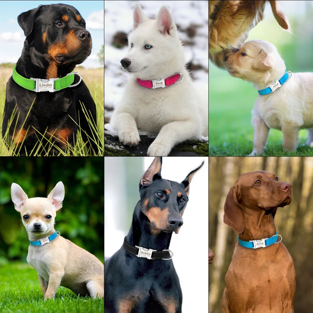 Adjustable Personalized Dog Collar – Custom Engraved Nylon Pet ID Collar | For Small, Medium & Large Dogs