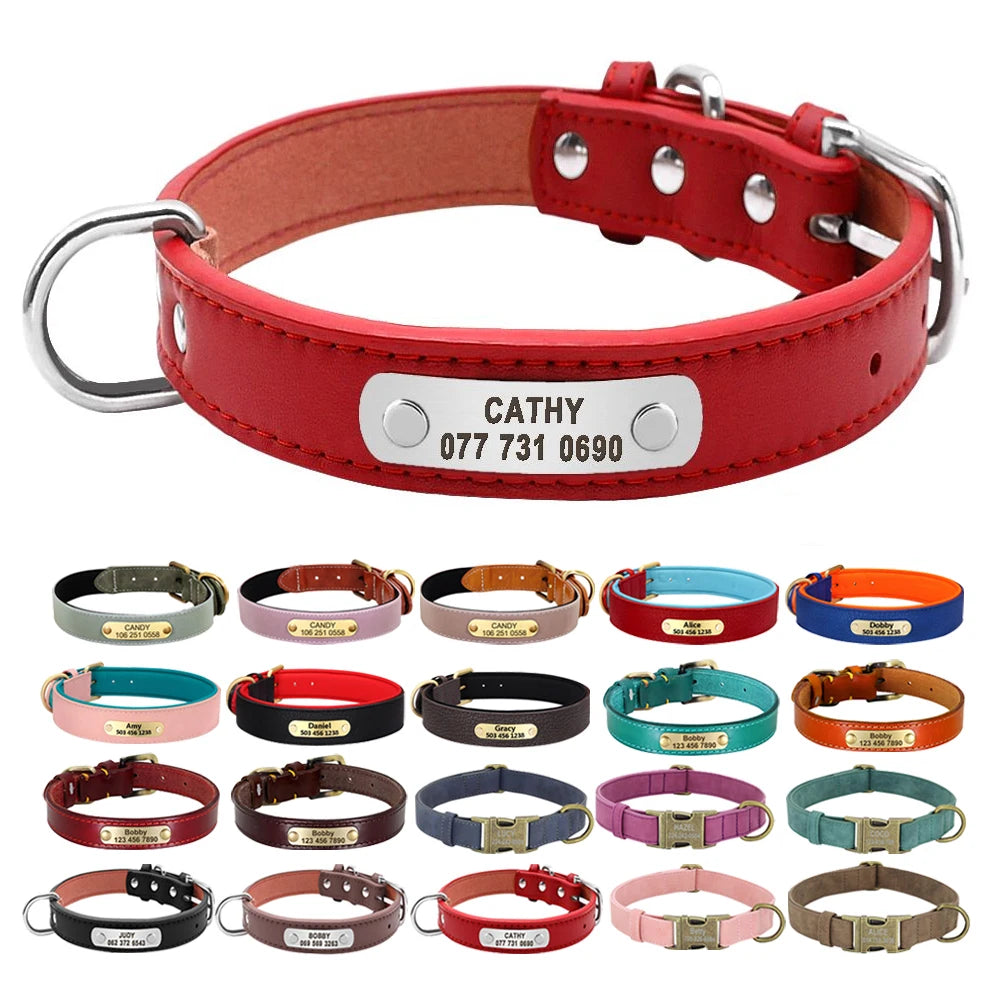 Custom Dog Collar – Personalized ID Tag Collar for Small, Medium, and Large Dogs