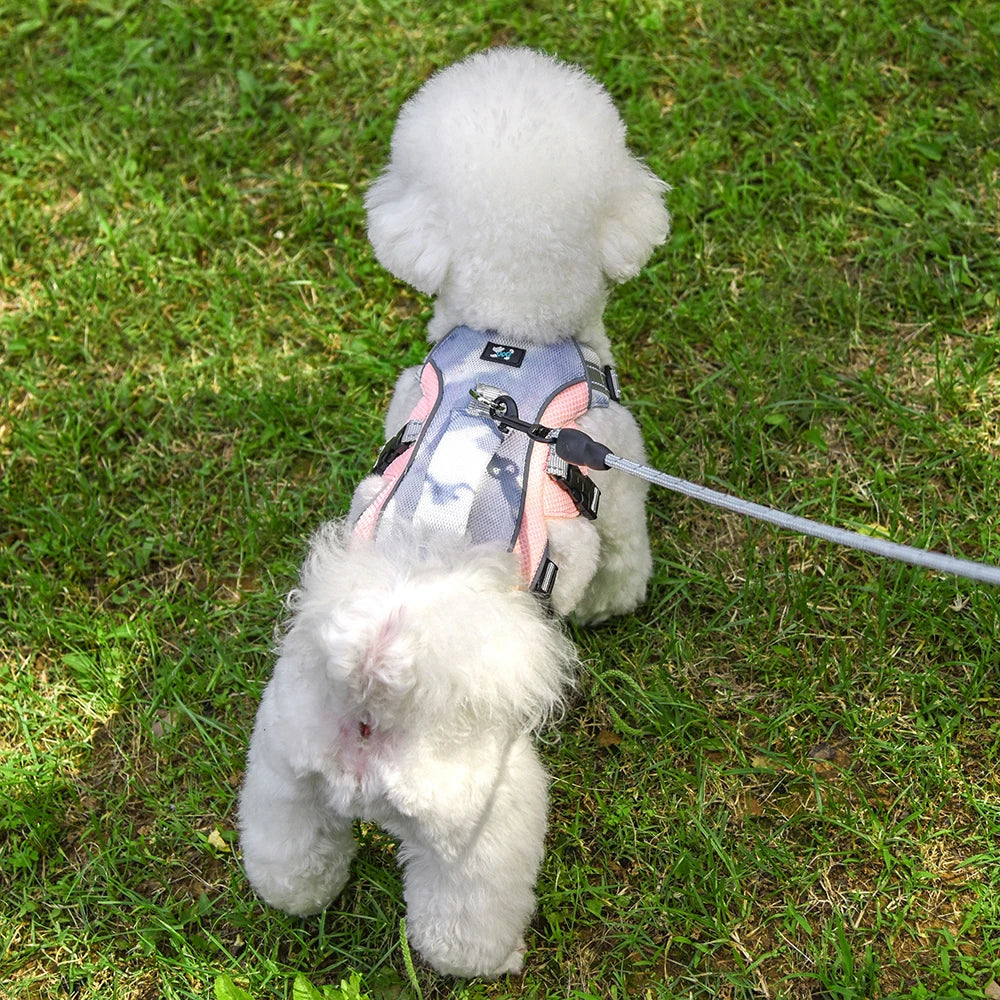 Summer Ice Cooling Dog Harness Vest Reflective Pet Harness Clothes for Small Medium Large Dogs Outdoor Pet Cool Down Jackets