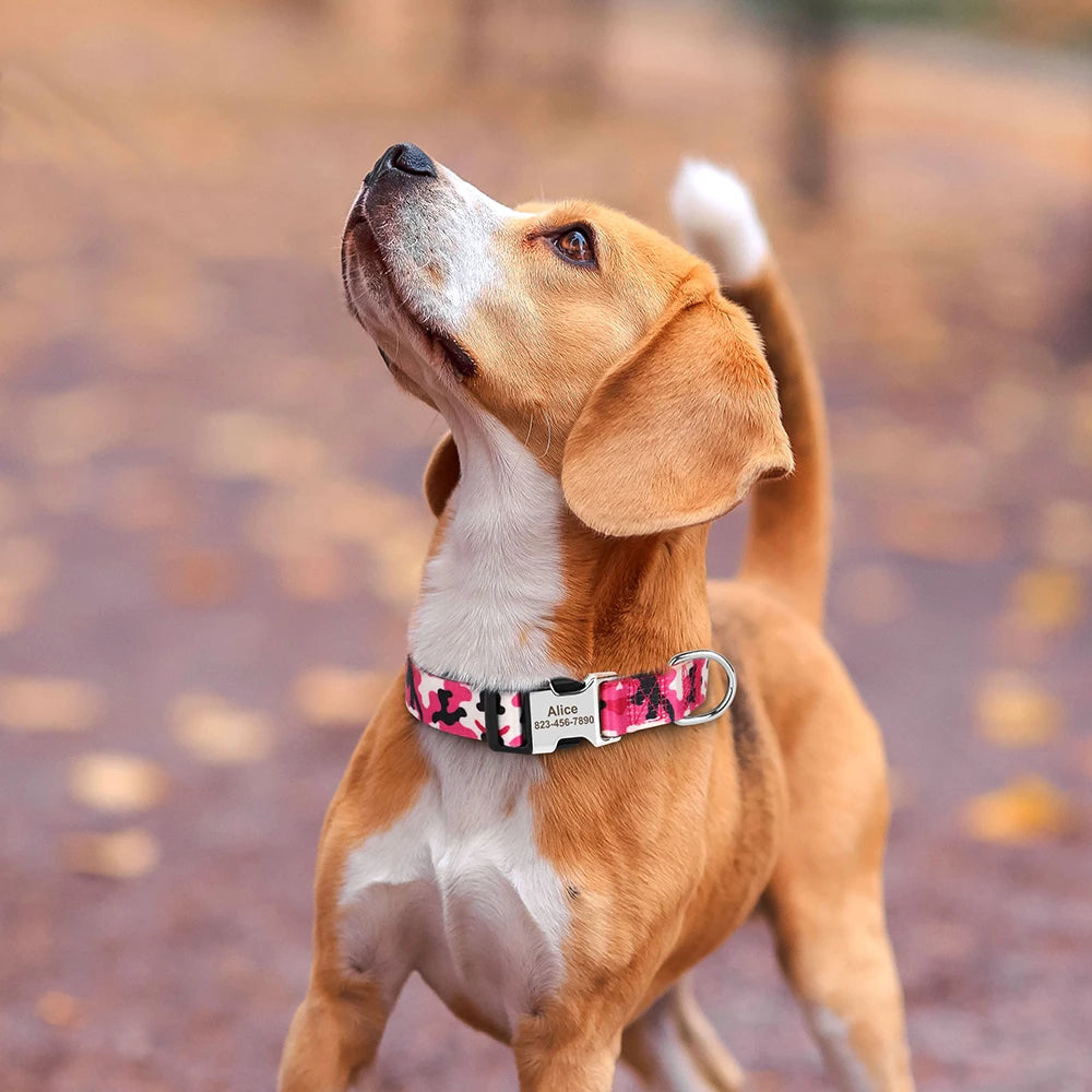 🎨 Personalized Nylon Dog Collar – Free Engraving, Adjustable Fit for Small to Large Dogs