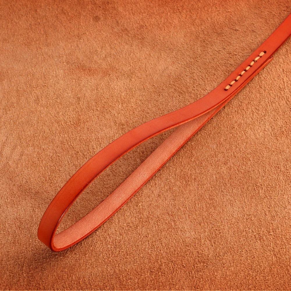 Genuine Leather Dog Collar & Leash Set – Adjustable for Small, Medium & Large Dogs and Cats (XS–XL)