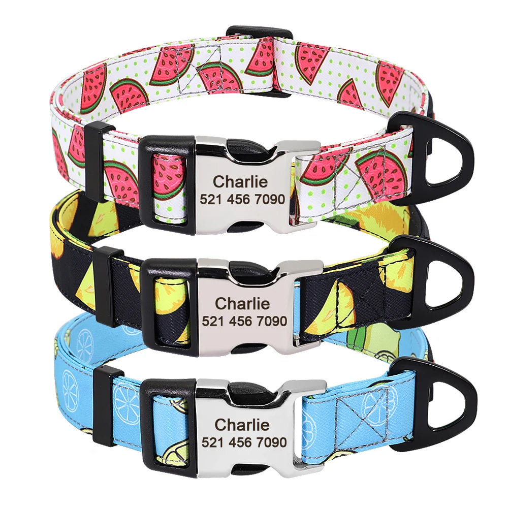Personalized Nylon Dog Collar with Engraved Nameplate – Custom ID Tag for Small, Medium & Large Dogs