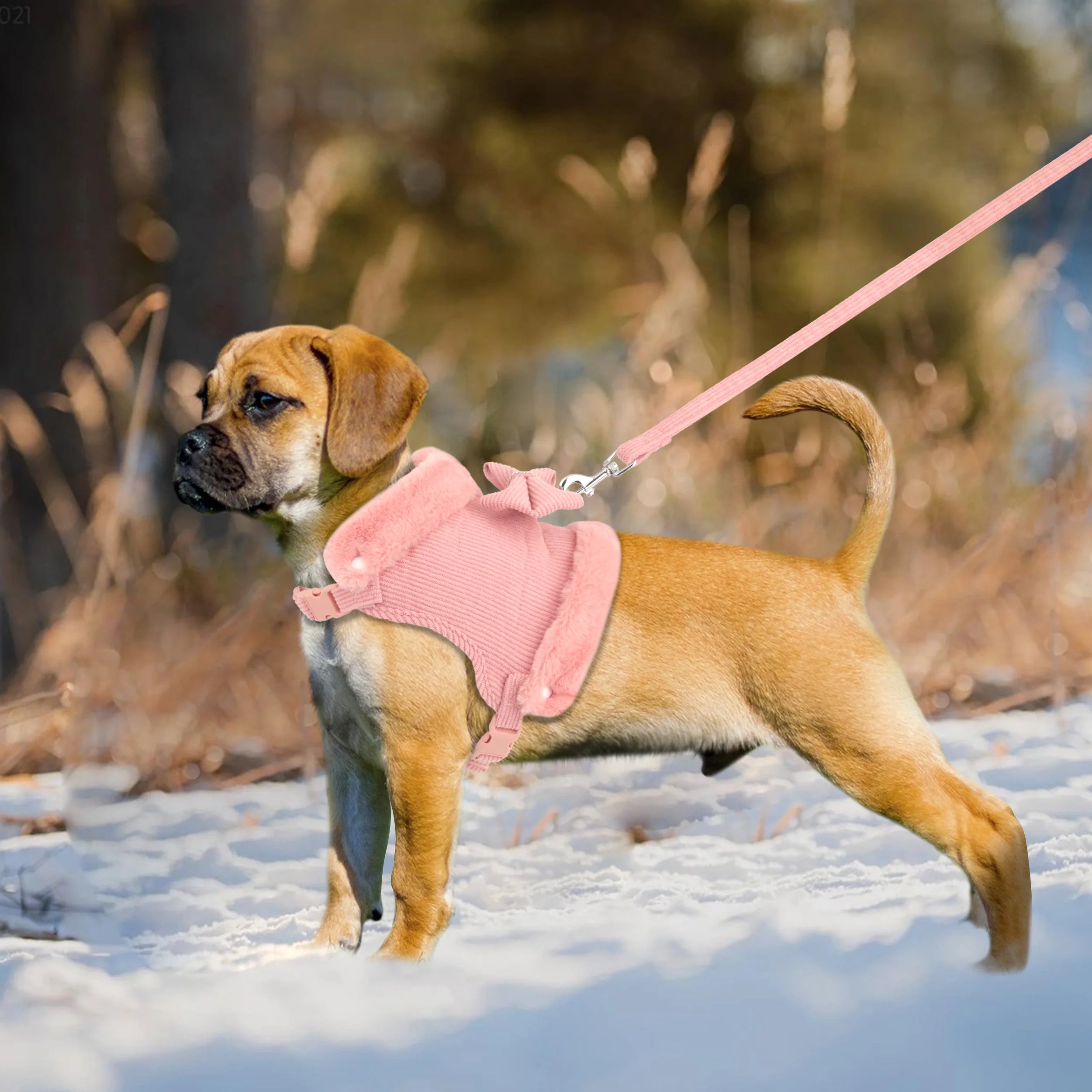 Soft Warm Dog Harness & Leash Set with Bowknot – Cute Vest Outfit for Small & Medium Dogs & Cats