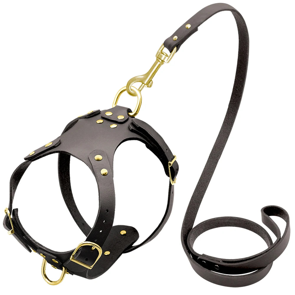Genuine Leather Dog Harness Vest & Leash Set – Adjustable Pet Harness for Small & Medium Dogs (Pug, Beagle, Bulldog, Brown)