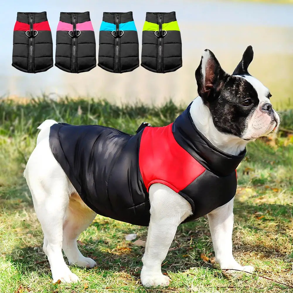 Waterproof Dog Winter Coat – Warm Padded Jacket for Small, Medium & Large Dogs