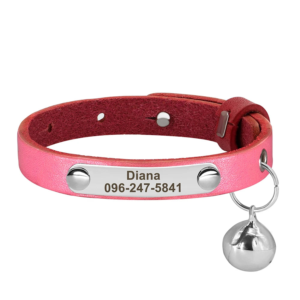 Personalized Nameplate Cat Collar – Custom Engraved Safety Collar with Bell for Cats & Kittens