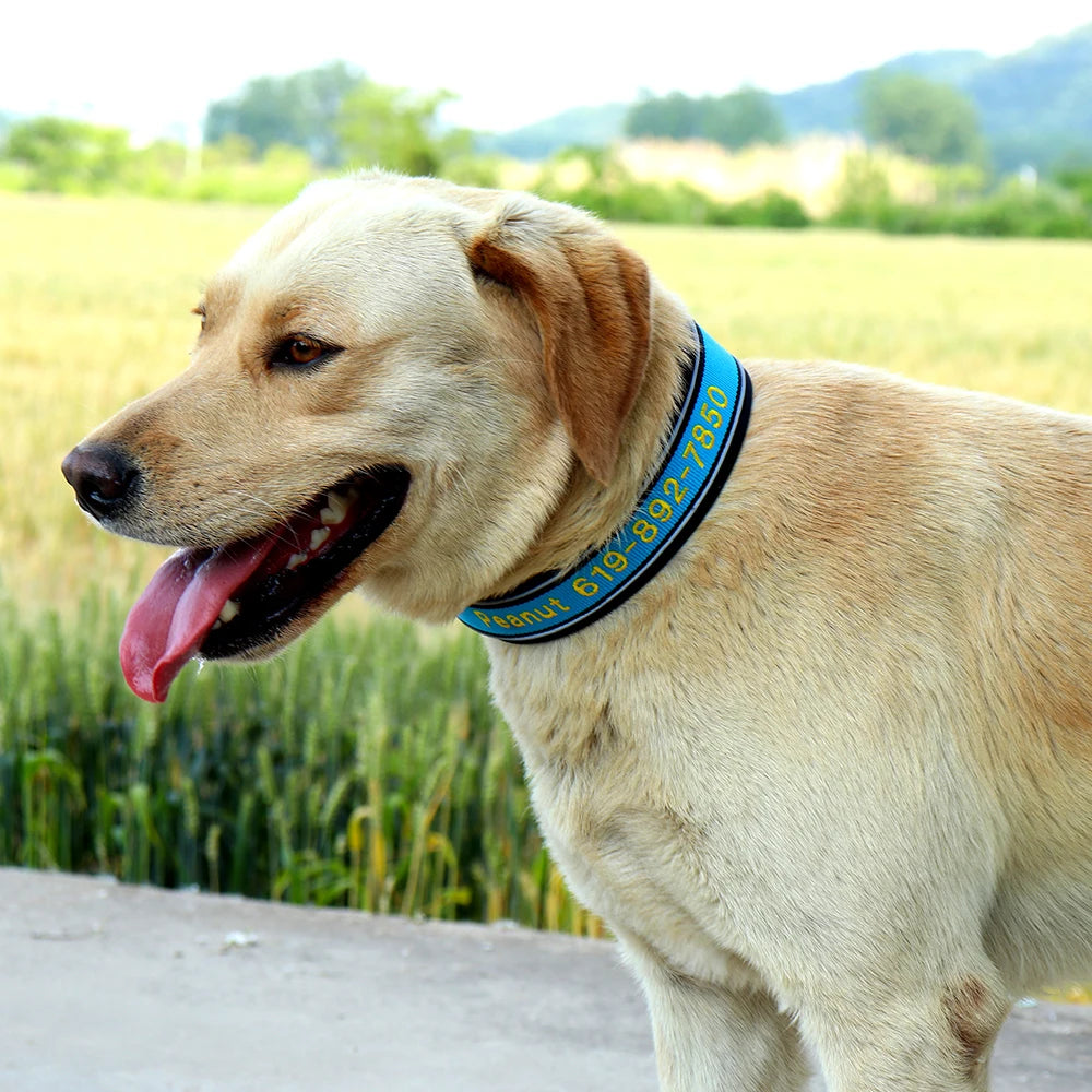 Personalized Embroidered Dog Collar – Reflective Nylon, Custom Name ID Tag – Small Medium Large Dogs