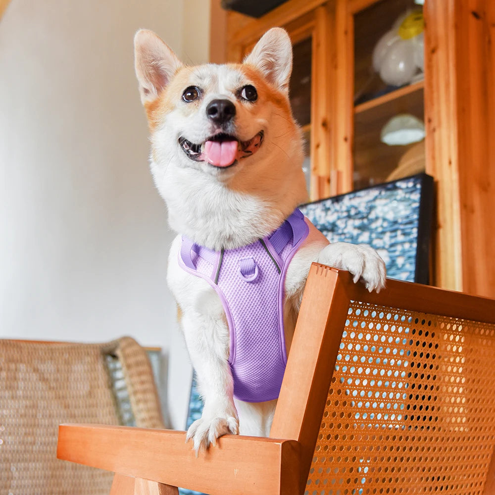 No Pull Nylon Mesh Dog Harness Breathable Pet Harnesses Vest For Medium Large Dogs Reflective Dog Chest Strap French Bulldog