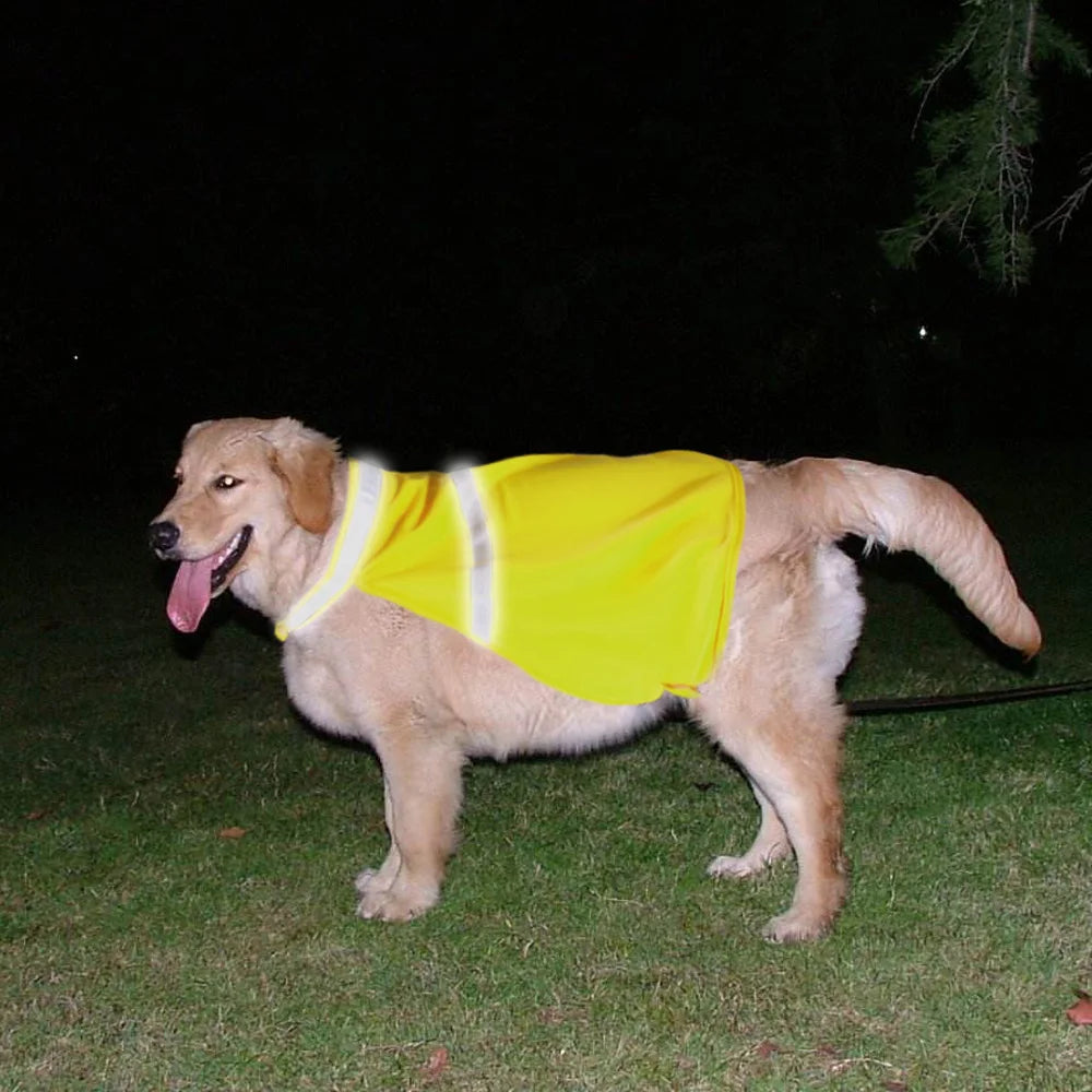 Reflective Dog Safety Vest – Breathable Outdoor Gear for Small, Medium & Large Dogs