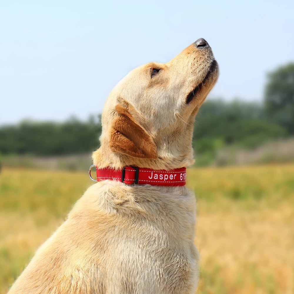 Personalized Embroidered Dog Collar – Reflective Nylon Adjustable ID Collar with Custom Name & Phone Number for Small, Medium & Large Dogs