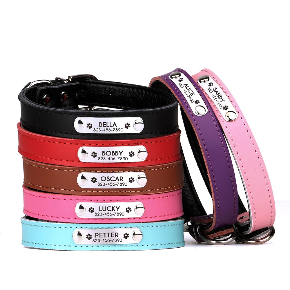 Custom Engraved Dog Collar – Personalized Puppy & Cat Collar with Nameplate – Adjustable for Small to Medium Dogs & Cats – Chihuahua, Pug, Yorkie