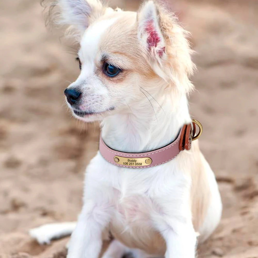 Custom Dog Collar – Personalized ID Tag Collar for Small, Medium, and Large Dogs