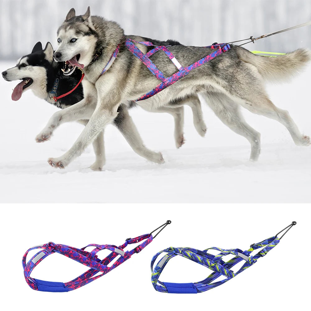 Big Dog Sledding Harness – Reflective X-Back Weight Pulling Harness for Medium & Large Dogs (Husky, Canicross, Skijoring, Bikejoring, Scootering)