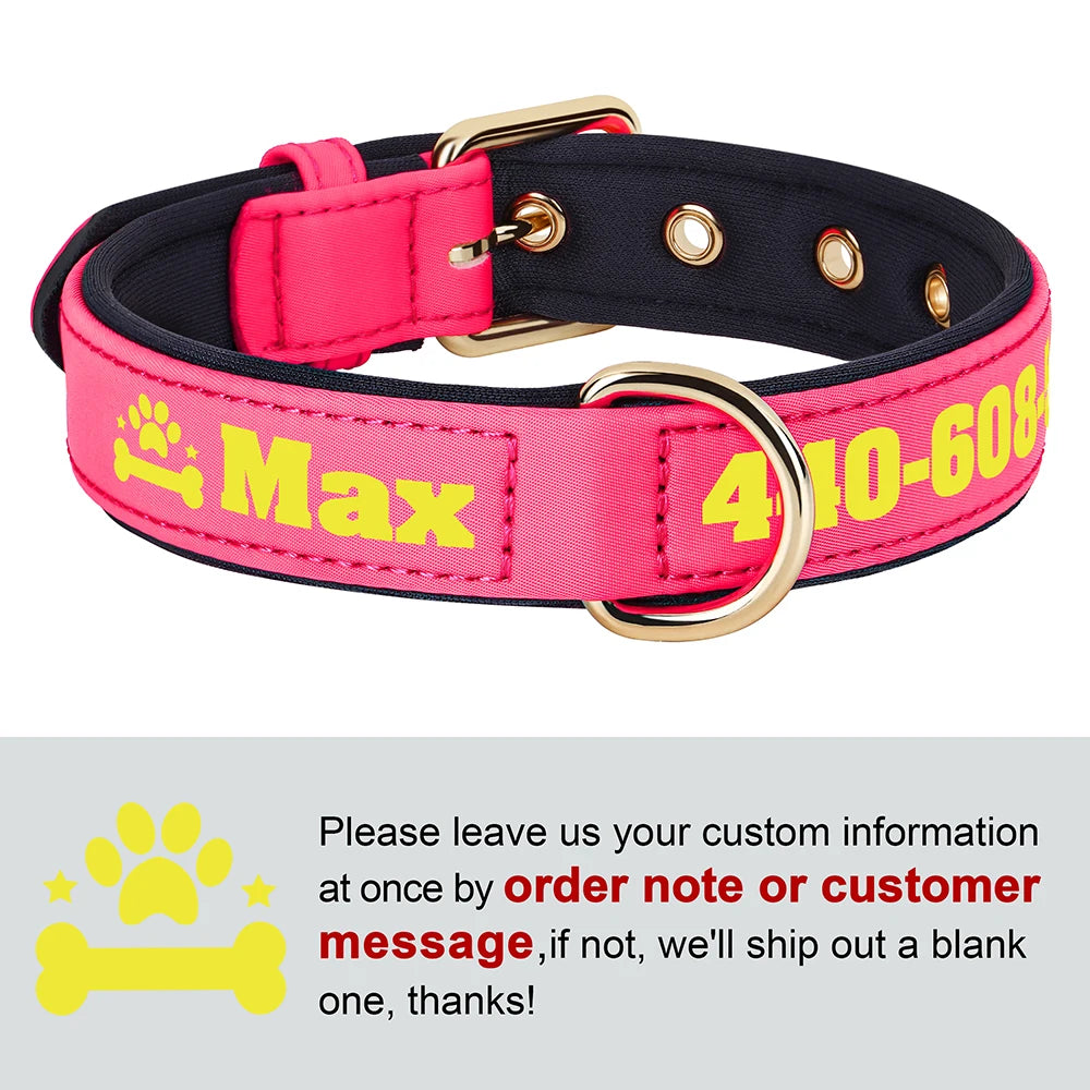 Custom Leather Dog Collar – Free Name & Number | Soft Padded & Adjustable