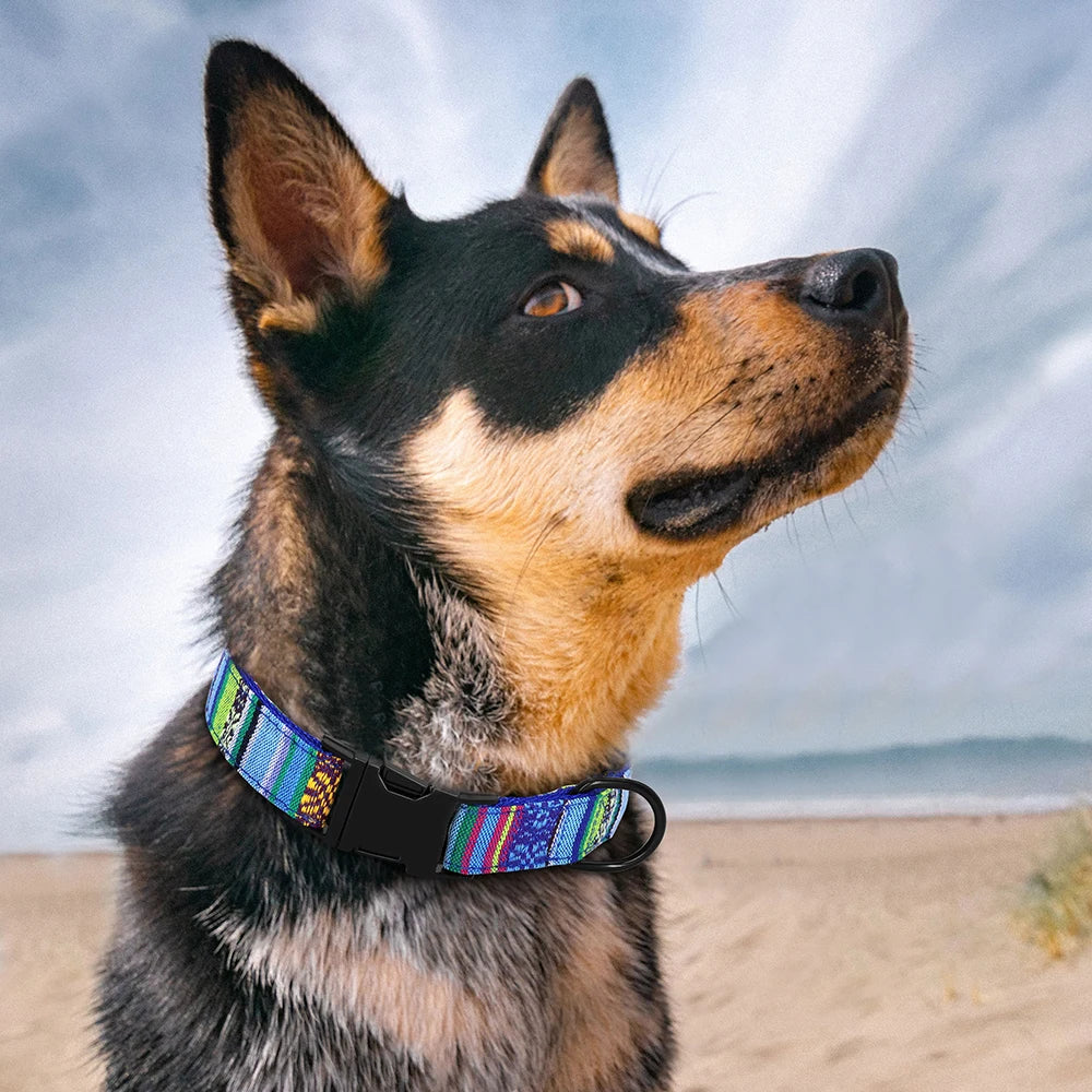 Nylon Dog Collar Colorful Pet Buckle Collar Anti-lost Nameplate ID Tag Adjustable For Small Medium Large Dogs S-L
