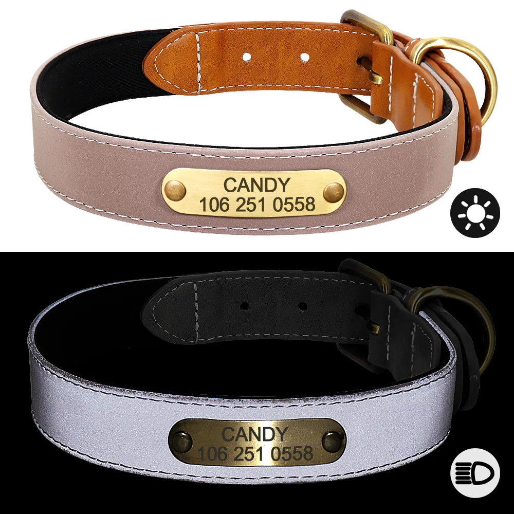 Custom Dog Collar – Personalized ID Tag Collar for Small, Medium, and Large Dogs