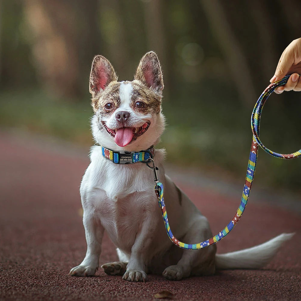 Durable Nylon Printed Dog Leash – 5 Colors Rope Lead for Small, Medium & Large Dogs (Walking, Training & Running)