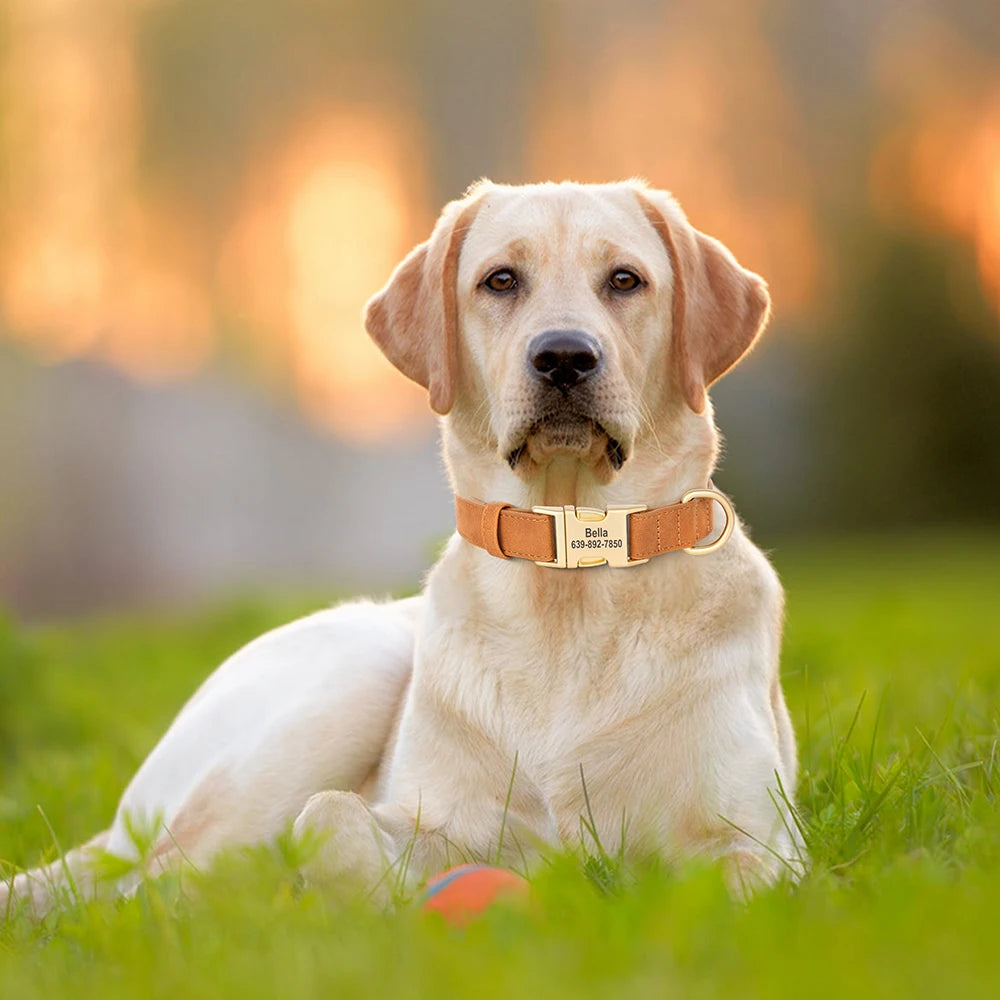 Custom Engraved PU Leather Dog Collar – Anti-Lost ID Tag Included