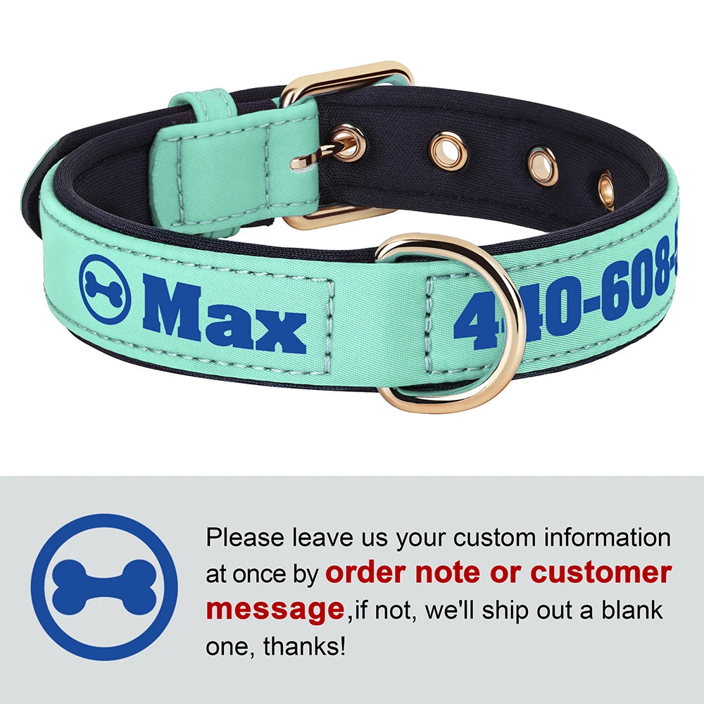 Custom Leather Dog Collar – Free Name & Number | Soft Padded & Adjustable