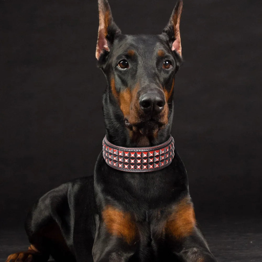 2-Inch Wide Luxury Leather Dog Collar with Durable Rivets – Stylish & Strong for Medium & Large Dogs