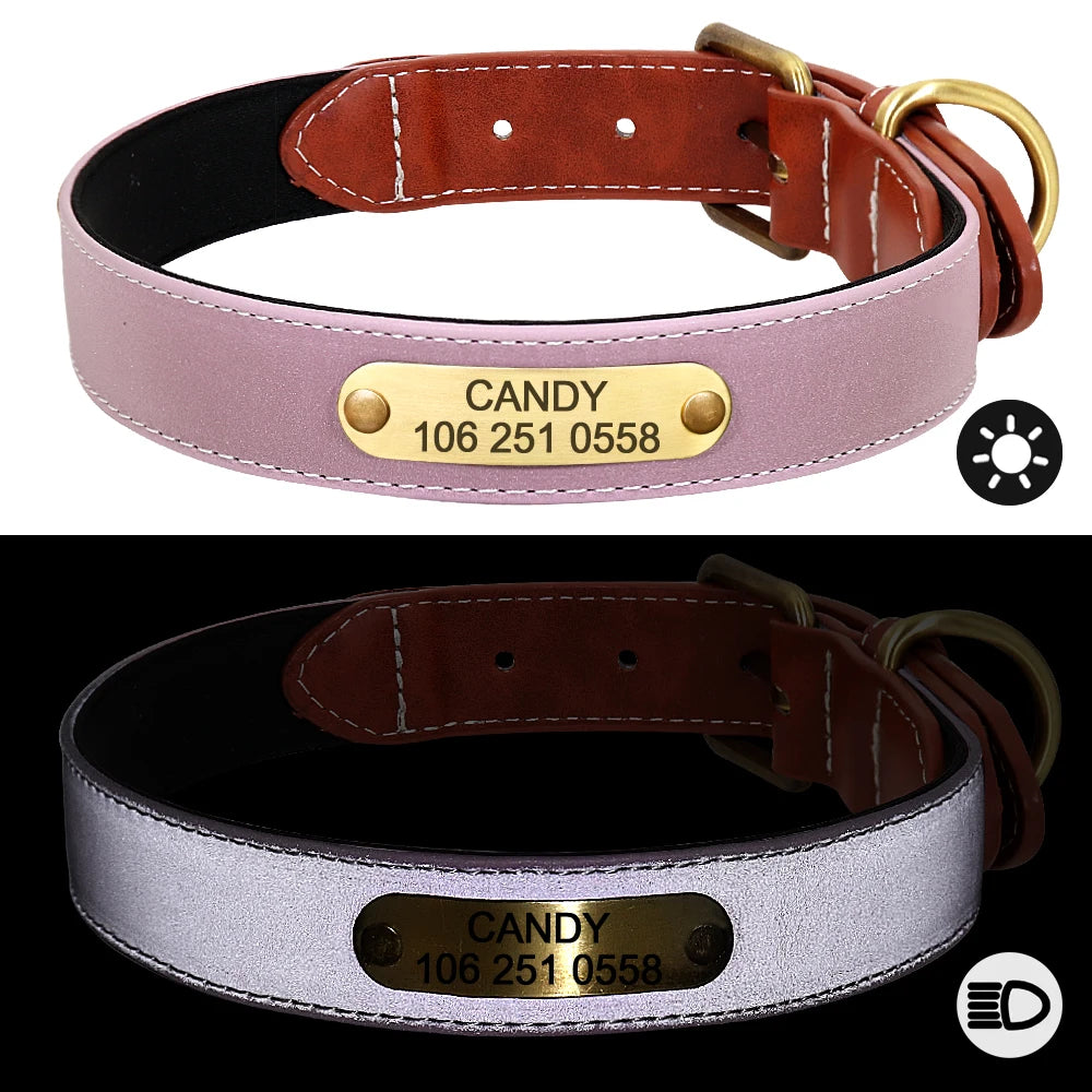 Custom Dog Collar – Personalized ID Tag Collar for Small, Medium, and Large Dogs
