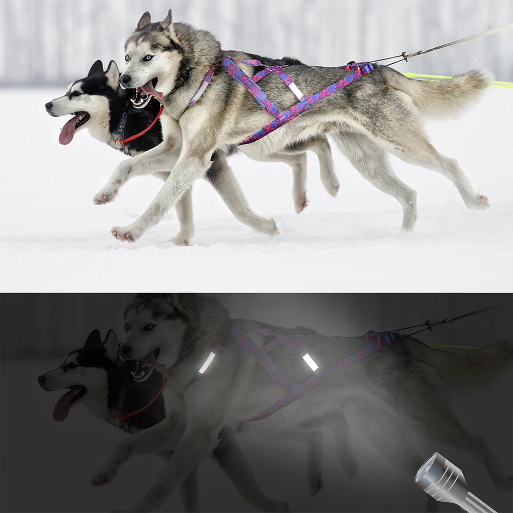 Big Dog Sledding Harness – Reflective X-Back Weight Pulling Harness for Medium & Large Dogs (Husky, Canicross, Skijoring, Bikejoring, Scootering)